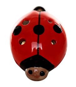 Musical Instrument Ocarina for Child Beetle Ocarina; 6 Holes Red
