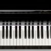 Piano Keyboard Stickers Removable Piano Key Labels PVC Piano Notes Guide without Glue for Beginners Kids