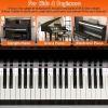 Piano Keyboard Stickers Removable Piano Key Labels PVC Piano Notes Guide without Glue for Beginners Kids