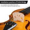 [Do Not Sell on Amazon]Full Size 4/4 Violin Set for Adults Beginners Students with Hard Case,Violin Bow,Shoulder Rest,Rosin,Extra Strings and Sordine