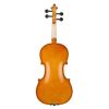 [Do Not Sell on Amazon]Full Size 4/4 Violin Set for Adults Beginners Students with Hard Case,Violin Bow,Shoulder Rest,Rosin,Extra Strings and Sordine