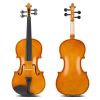 [Do Not Sell on Amazon]Full Size 4/4 Violin Set for Adults Beginners Students with Hard Case,Violin Bow,Shoulder Rest,Rosin,Extra Strings and Sordine